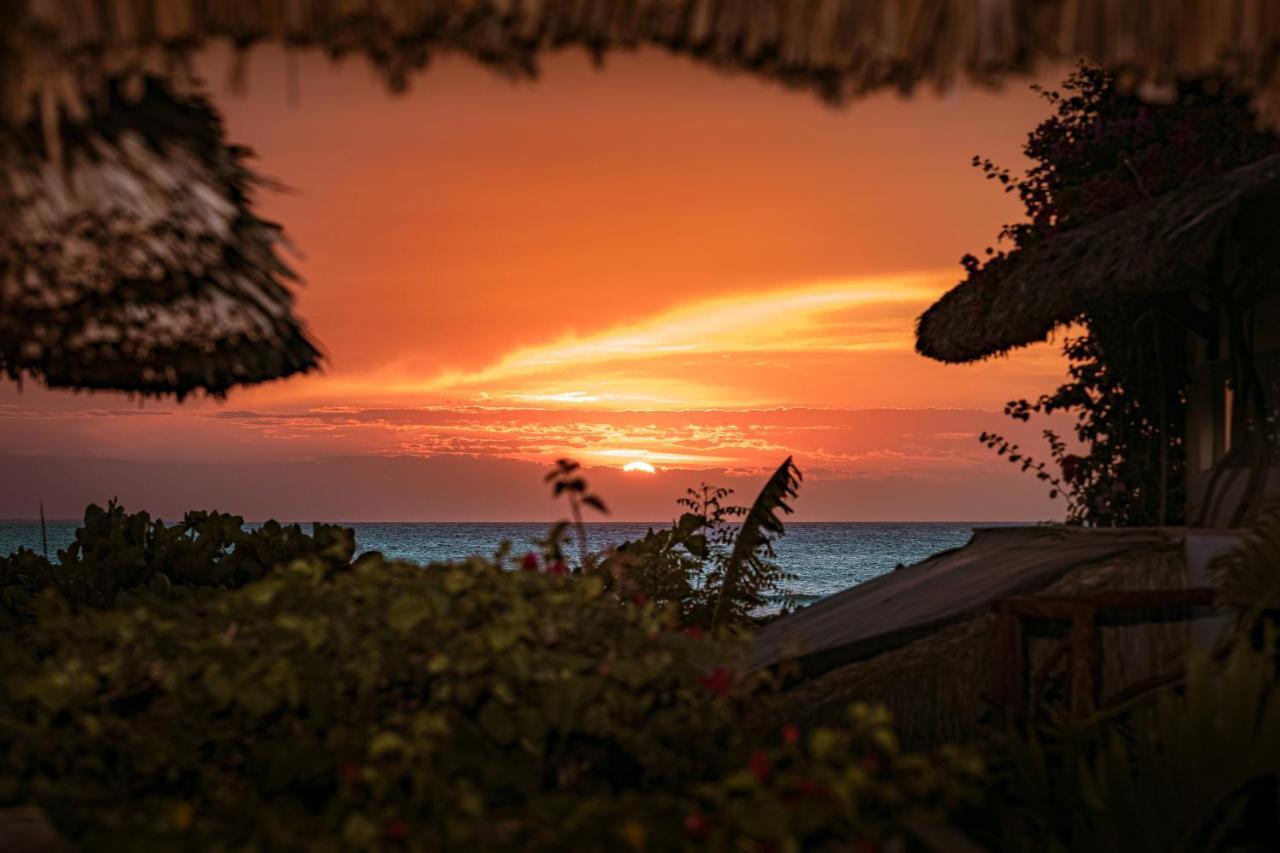 Casa Na Praia ジジョーカ・デ・ジェリコアコアラ エクステリア 写真